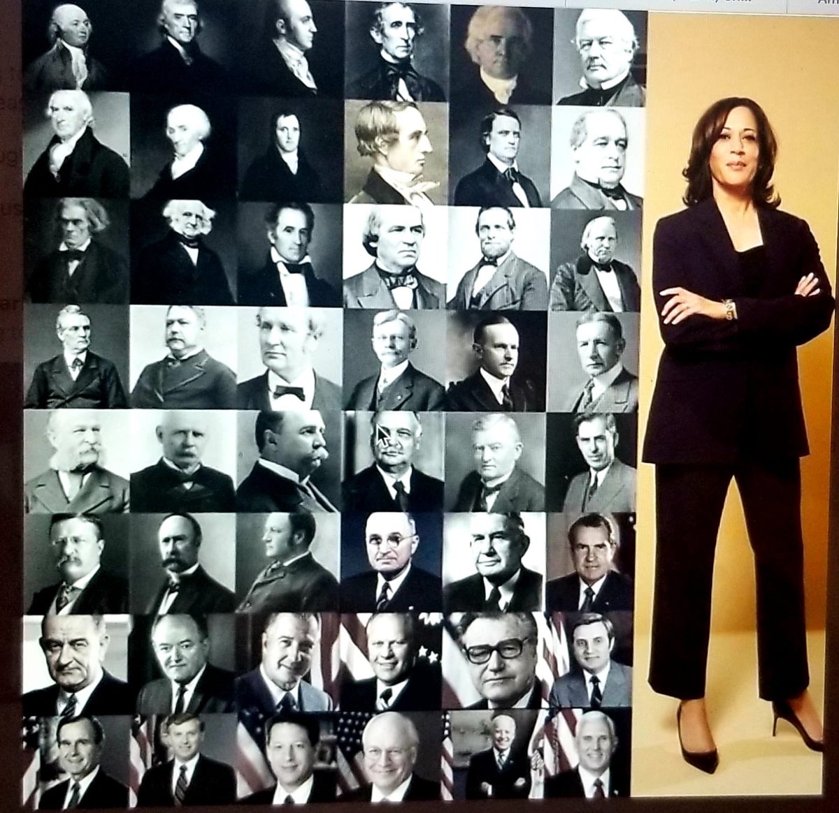 MOGinAfrica's tweet photo. Another massive crack in the glass ceiling! β¦@KamalaHarrisβ© has ensured we are a step closer to shattering it and ensuring young ladies see moments like these as the norm! #FirstFemaleVP #FirstBlackVP #FirstAsianVP. So many firsts - a heroine for so many. ππΏπͺπΏππΏ https://t.co/Ll6aakSjxh