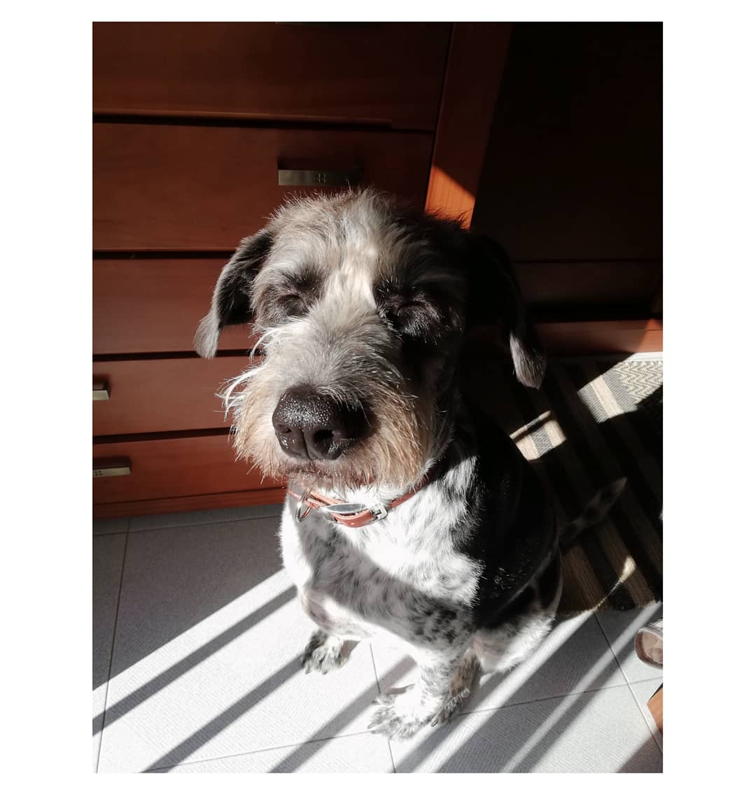 Estefanía tweet media