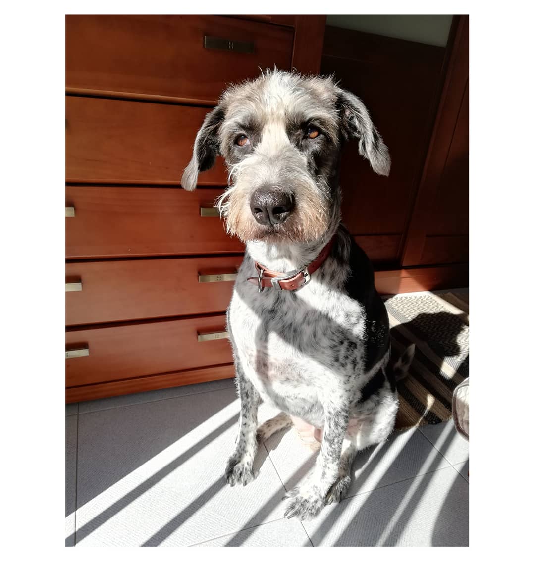 Estefanía tweet media