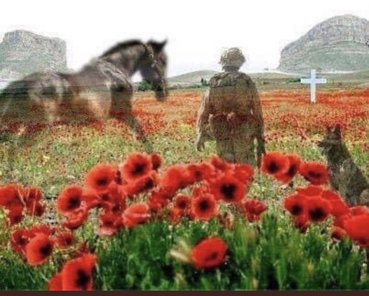 K9memorialUk's tweet image. They shall grow not old, as we that are left grow old.
Age shall not weary them, nor the years condemn.
At the going down of the sun and in the morning, we will remember them. #WeWillRememberThem #LestWeForget #AnimalsOfWar 🐾💙🐾