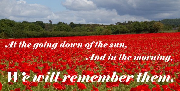 Scouts_inSpires's tweet photo. oxfordspiresscouts Although we may not be able to mark Remembrance Sunday in our usual ways we can still stop and remember the fallen. For your tomorrow they gave their today https://t.co/UY8AaMzkRS