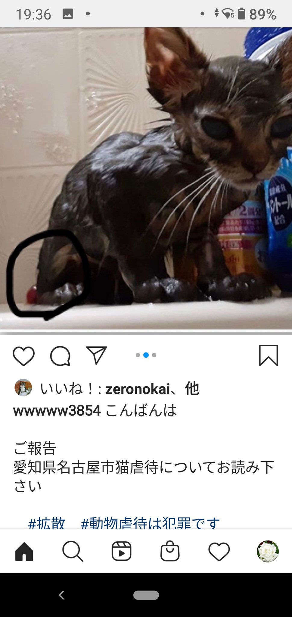 Kumiko 名古屋市の猫虐待事件 何も進展がないようにみえますが事情聴取 家宅捜索後も警察は捜査を続行してくれています 警察以外にこの事件で動いていてくれる方々もいます この事件の虐待者は絶対に許せません このままこの事件を注視していきたいと思っ