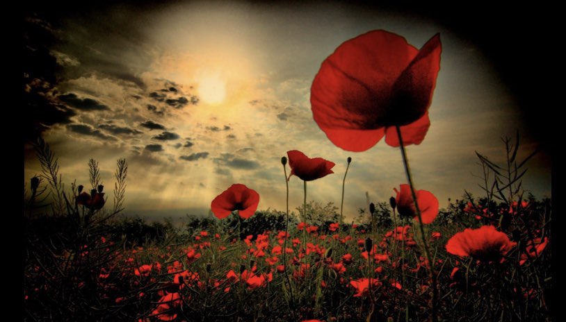 Remember and respect all our heroes  🙏