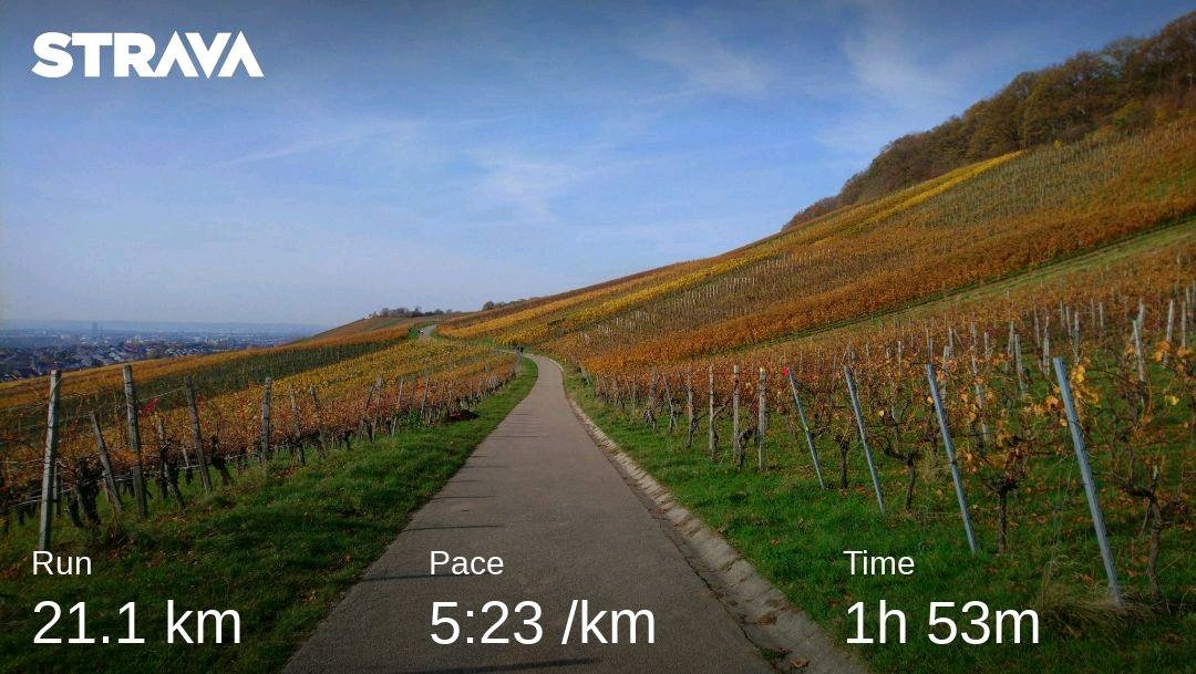 Beautiful run today : strava.app.link/gNvu7RFcfbb