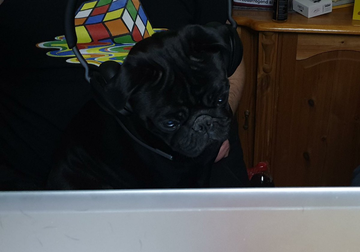 Laurenzia von Schnatterhorn ☠️🦆 tweet media