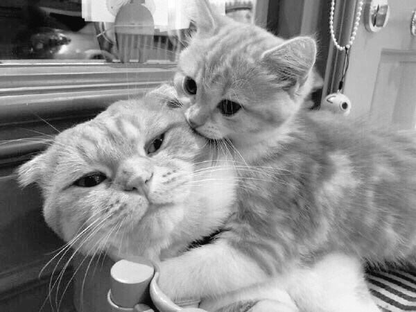 10/10 siyah beyaz (@ononsiyahbeyaz) on Twitter photo 