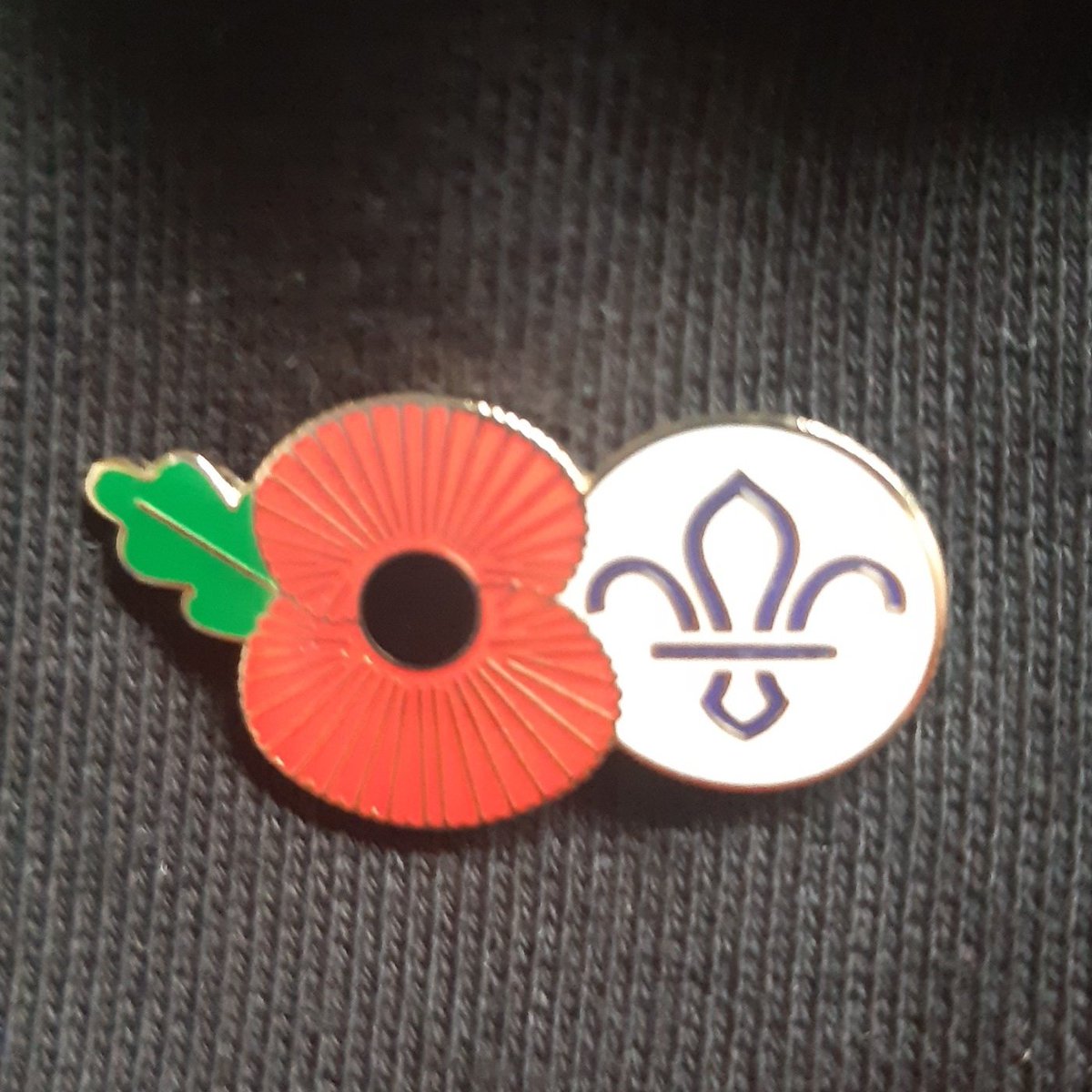 1st Highworth Scouts tweet media