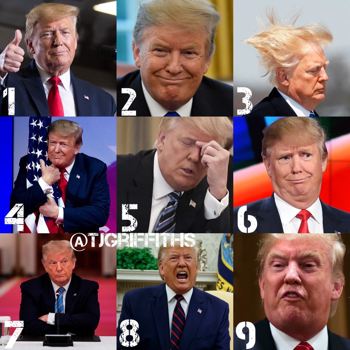 checkemoutbooks's tweet photo. For today’s mood, on a scale of departing President Trump, how are you feeling? 1️⃣ for yesterday’s great #USElectionResults2020 but 3️⃣ for the quiet day ahead today. Happy Sunday all and stay safe! #USAelection2020 #USElection https://t.co/8CI3pSH6wr