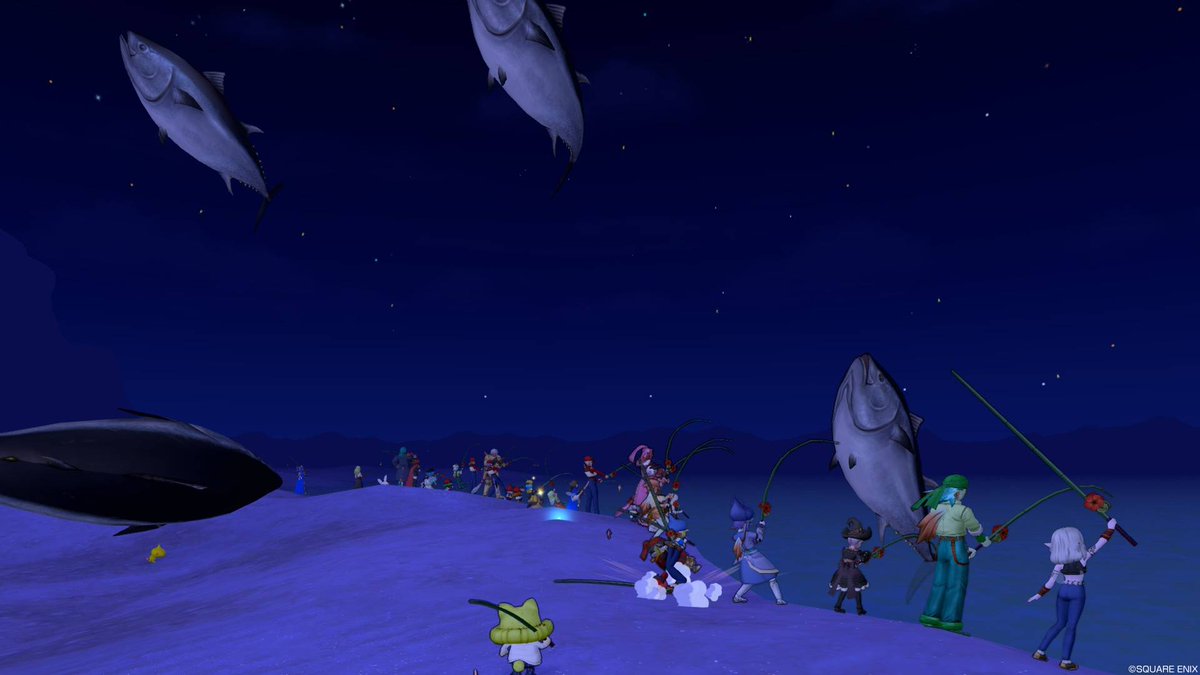 夜釣りよ今夜もありがとう