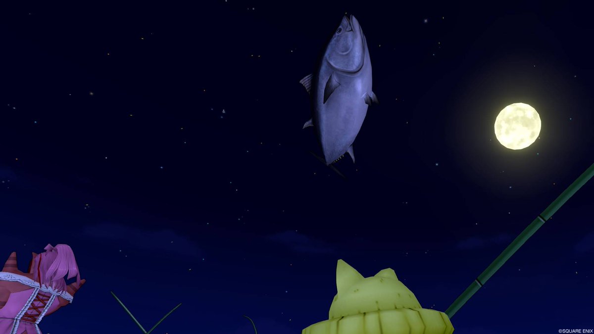 夜釣りよ今夜もありがとう