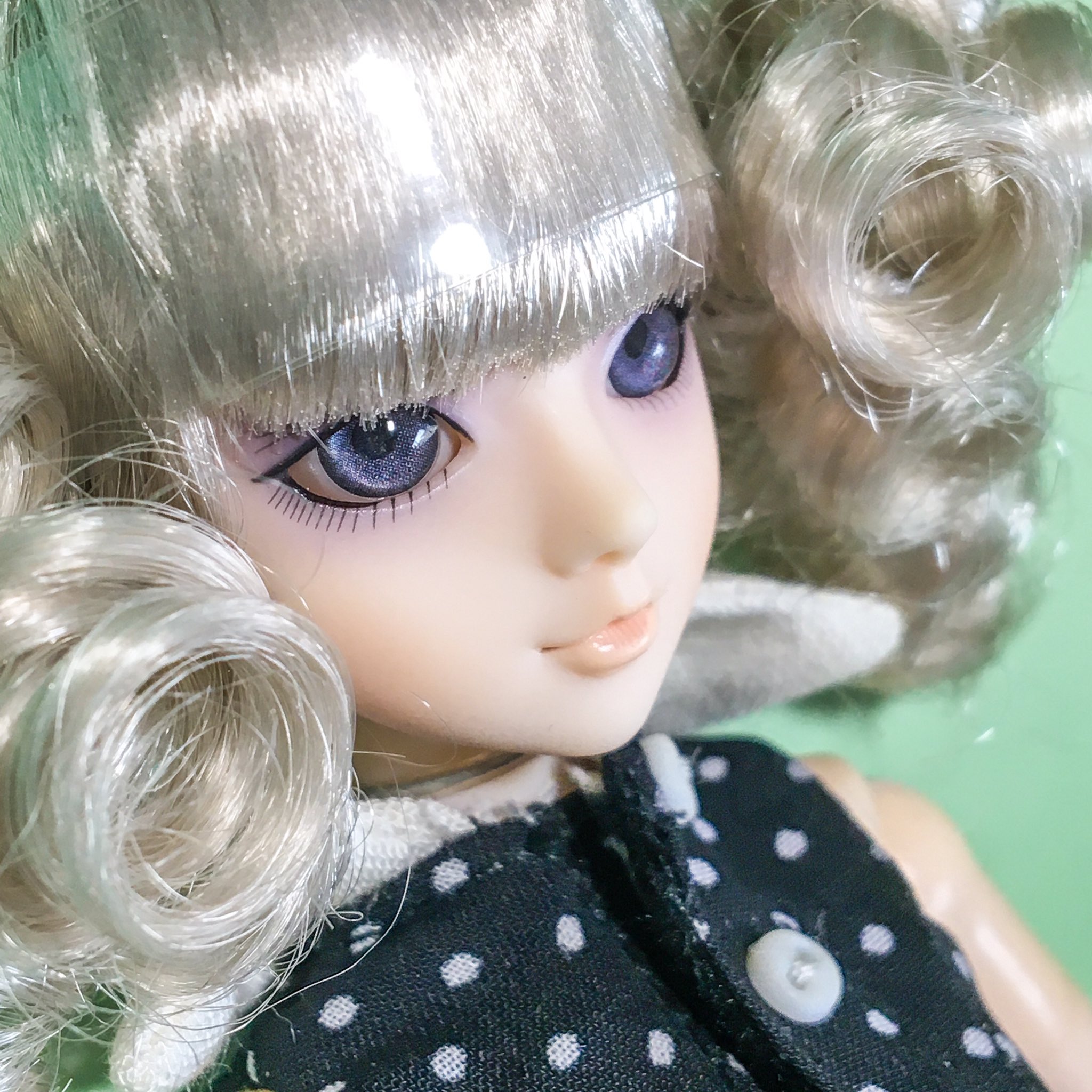 未開封 ジェイドール モンテナポレオーネ | legaleagle.co.nz