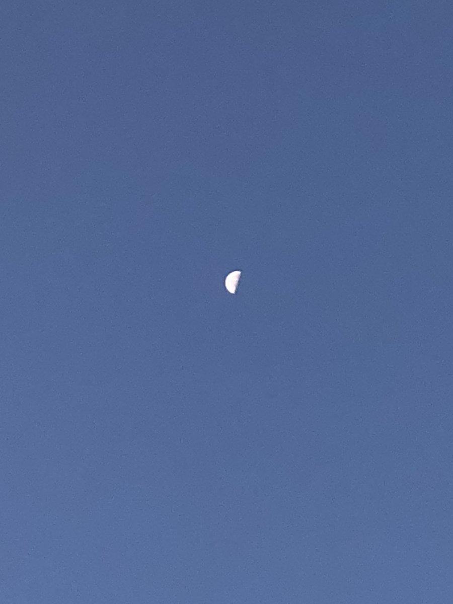 Francesc Millán tweet media