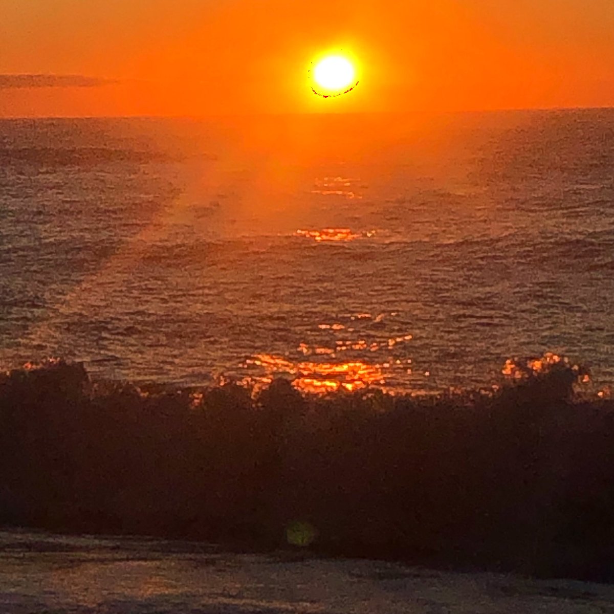 Francesc Millán tweet media