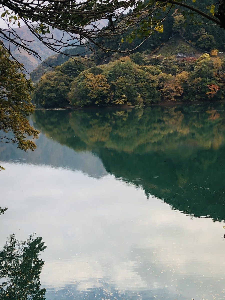 KARUPASU13's tweet photo. 今日、奥多摩の小河内ダムに
紅葉🍁を見に行きました❗️
#奥多摩
#小河内ダム
#紅葉 https://t.co/pXFFZUeNKB