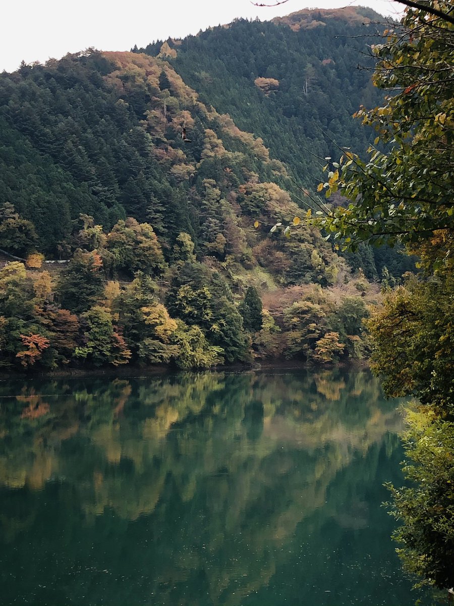 KARUPASU13's tweet photo. 今日、奥多摩の小河内ダムに
紅葉🍁を見に行きました❗️
#奥多摩
#小河内ダム
#紅葉 https://t.co/pXFFZUeNKB
