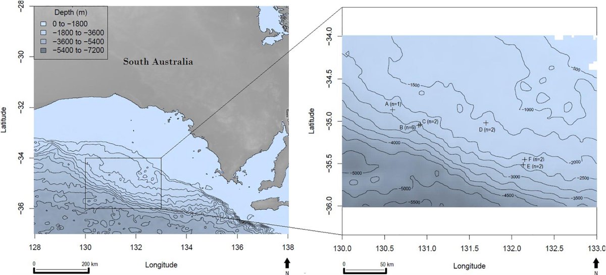 This is how much plastic scientists now think is at the bottom of the ocean bit.ly/32m7X9C #plasticpollution #ocean