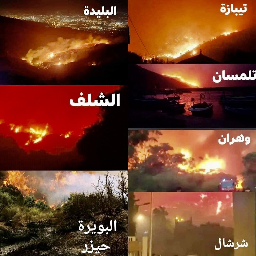 Emma23286628's tweet photo. الله يحمي وطني الجزائر🤲💔🥺🇩🇿 https://t.co/WcWNICuP6o