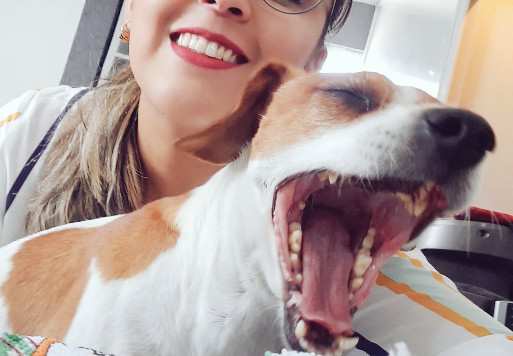 Friglezz_'s tweet photo. Por favor, abra grande la boca 😂🐶💕 https://t.co/Yd4RYfgYuG