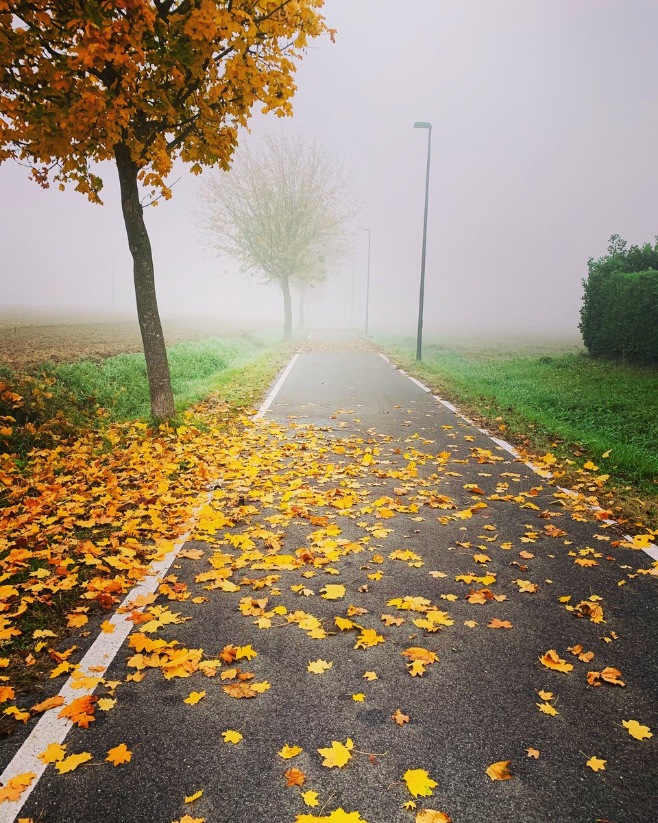 LorenzoMalin's tweet photo. 🍃🍂AUTUMN IS HERE🍂 🍃
-
#SanBellino #MyTown #Autumn #November2020 #Fog #SundayMorning #Walking #MixedColours #SeasonalMood #CountrySideLife #PicOfTheDay https://t.co/qprxzJrgew