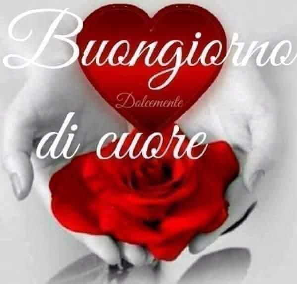 Maria Delli Carpini Buongiorno Tesoro Felice E Serena Domenica A Tutte Voi Carissime Amiche E A Te Amatissimo Can Tanti Auguri Di Buon Compleanno Che Tutti I Tuoi Sogni Si Realizzino