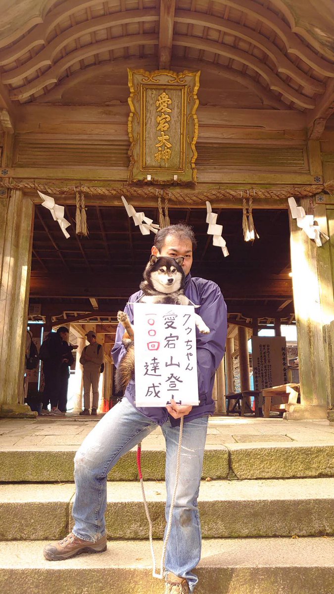 atagojinjya's tweet photo. 今日の登拝　11月8日(日)⑦

ようお詣りでした。 https://t.co/qOcQYNc7bk