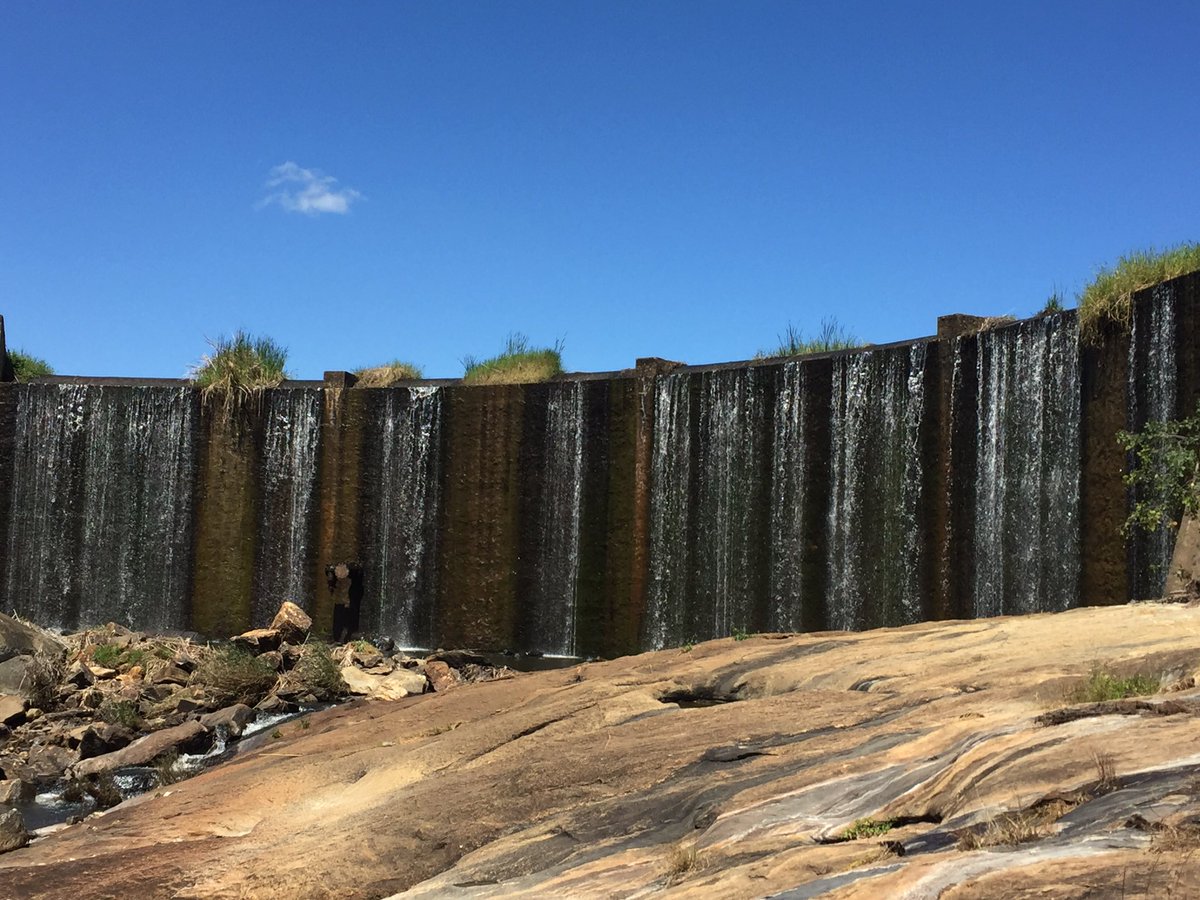 Zim Local zimlocals Timeline, The Visualized Twitter (Analytics)