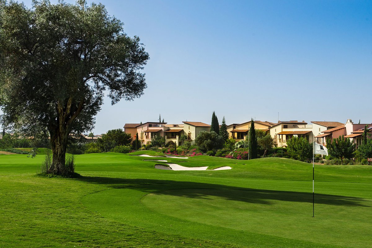 golfers_reviews's tweet photo. Golf review - 🇨🇾 Aphrodite Hills Golf Club
Tags: #golf #golfing #golfcourse #golffun #golfInspiration #golfer #golfNow #golfr #aphroditeHillsGolfClub #cabellRobinson #golfCyprus #golfEurope
Twitter: @AphroditeHills1
Played it? Rate it! https://t.co/cgTWd5S3Jr https://t.co/WXX8VUqIwq
