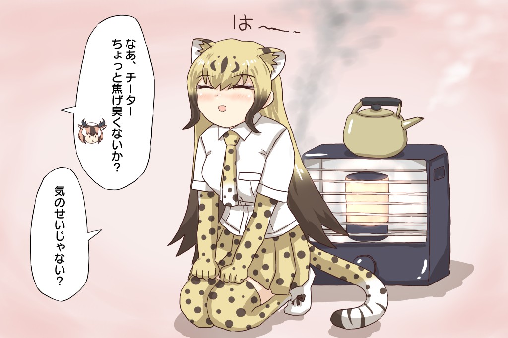 チーターちゃんとストーブです。 