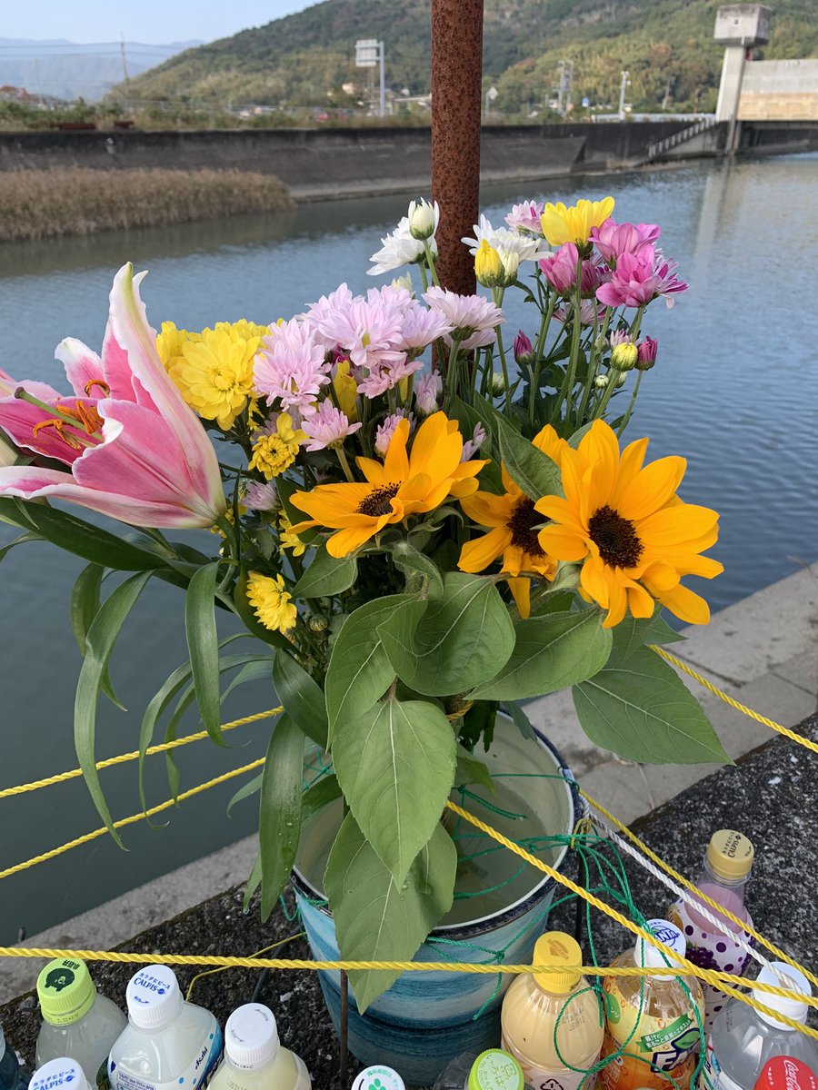 Hirohina6's tweet photo. #高知県小学生水難事故 
皆様お疲れ様です。

今日は何とか献花の交換に行く事が出来ました。
季節外れの向日葵も買えてラッキーでした。

日々のツイート、拡散にご協力頂き本当にありがとうございます。
個別返答出来てない方も居ます。申し訳ありません。

これからもよろしくお願いします。 https://t.co/8cW8Z55t9l