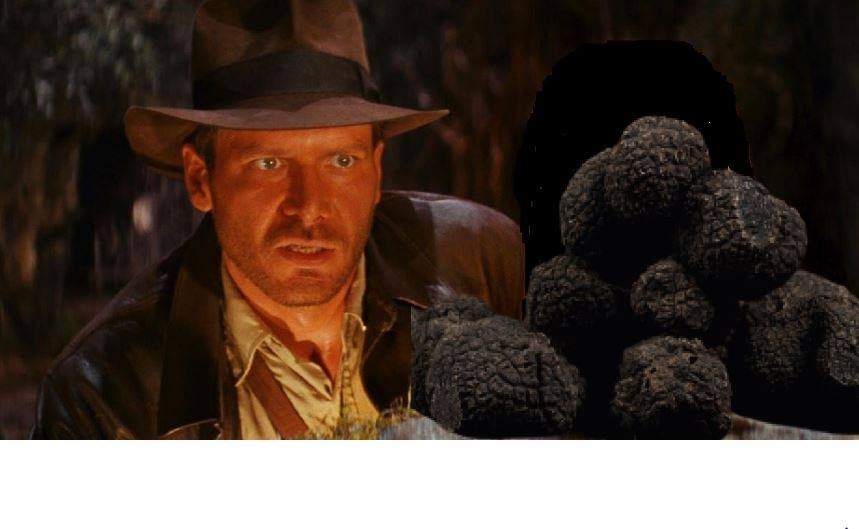 truffeextra's tweet photo. Osez l'aventure de la truffe chez vous avec notre suprême de truffe Alena... https://t.co/AFoA4CxbUt