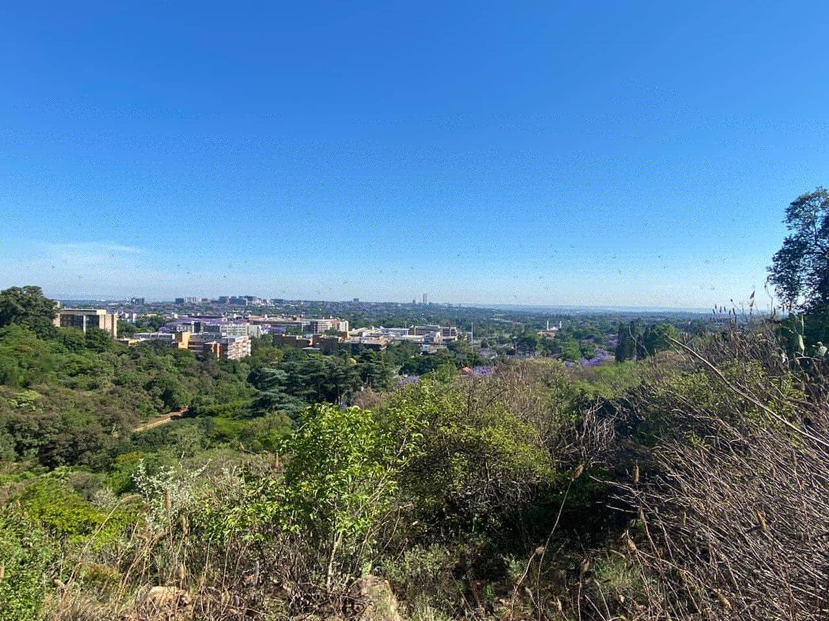 CindyPoluta's tweet photo. Walking The Wilds With Wiener....

@MandyWiener
@Radio702
#702VirtualWalk https://t.co/RWsKEewwlk