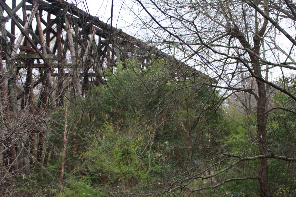 I didn't actually finish telling the history of the Georgia Railroad and the trestle, did I? The company's charter required it to offer passenger trains every day except Sunday on all its lines. The Atlantic Coast Line Railroad acquired a controlling interest in 1902.