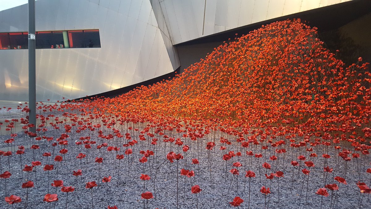 dinnerbrown's tweet photo. #PoppyWave #RemembranceSunday #ArmisticeSunday #PoppySunday #LestWeForget @IWMNorth https://t.co/4Rfy9aO3IU