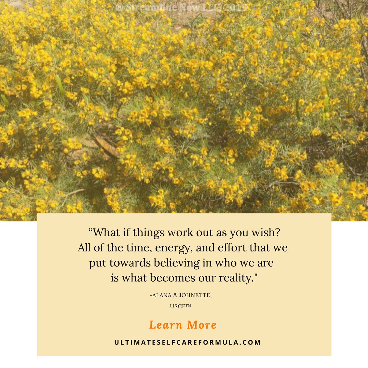 ultimatescf's tweet image. “What if things works out as you wish? All of the time, energy, and effort that we put towards believing in who we are is what becomes our reality.” -Alana &amp;amp; Johnette, USCF™
Learn more: ultimateselfcareformula.com 👈

#healthandwellness #selfcare #holistichealth #growth #happiness