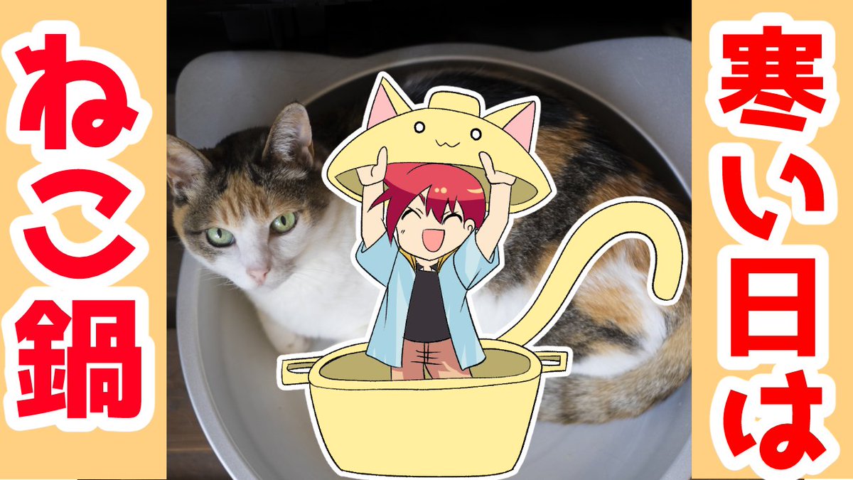 犬猫ちゃんねる hashtag on Twitter