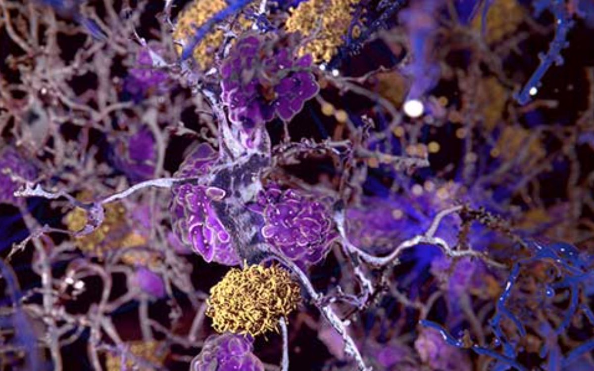 European Research Council (ERC) tweet media