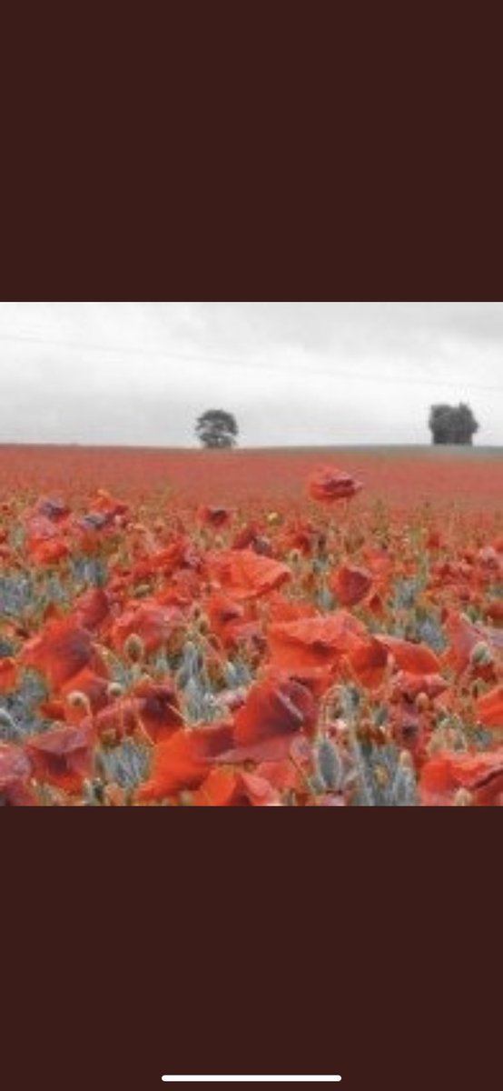 MidsOpCOURAGE's tweet photo. For all those who have served and for those still serving, we thank you.❤️        #LestWeForget https://t.co/4kUSVekIJi