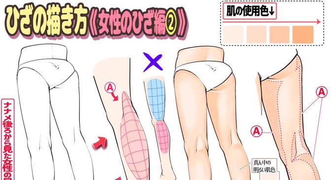 2日後の11月10日にも新作公開✨

【女性版??】の「足とひざの描き方」もファンボックスで【先行公開】します‼️

現在、最終チェック段階です✨

『男性&amp;女性の綺麗な足が描けない…』
という人はかなり上達できる内容になってます☺️

よろしければ登録してみてください‼️ 