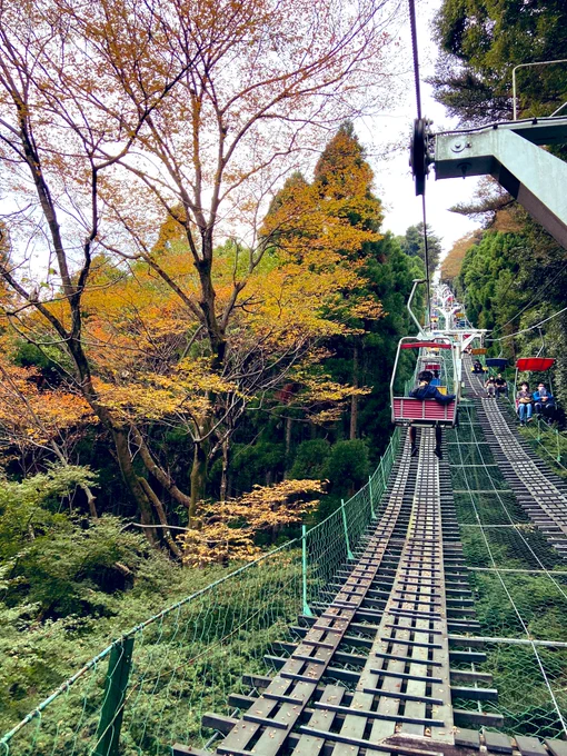 ゆるっと昼すぎから家族で高尾山。山頂まで人ギッシリの密でした 