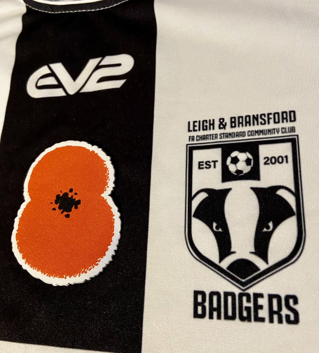 LBBFCCity's tweet photo. Couldn’t wear it this weekend but it’s so important, even more so this year, to show we remember, we care, we support @PoppyLegion @Poppies4Kits #WeWillRememberThem https://t.co/3Iv8PlK25G