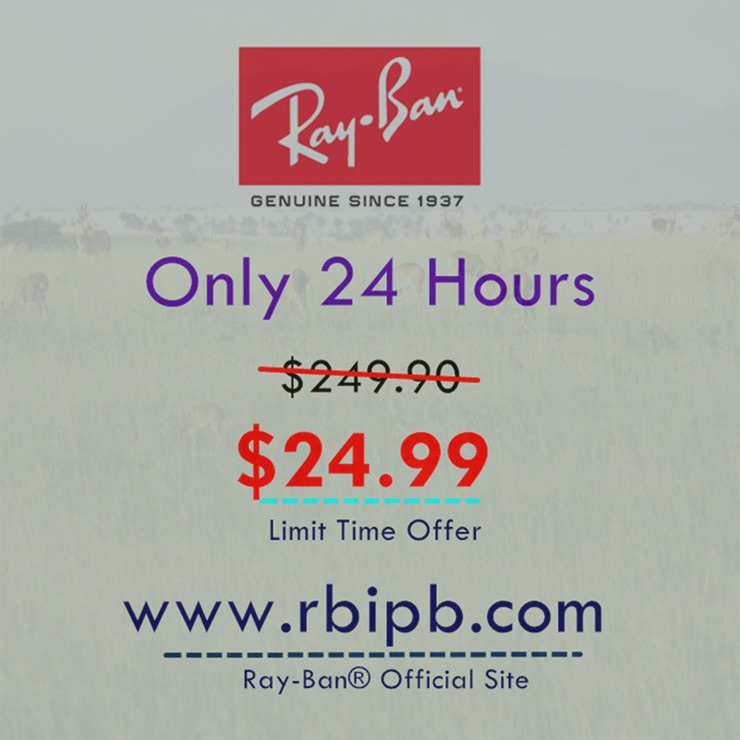 Sarah Lockwood tweet media