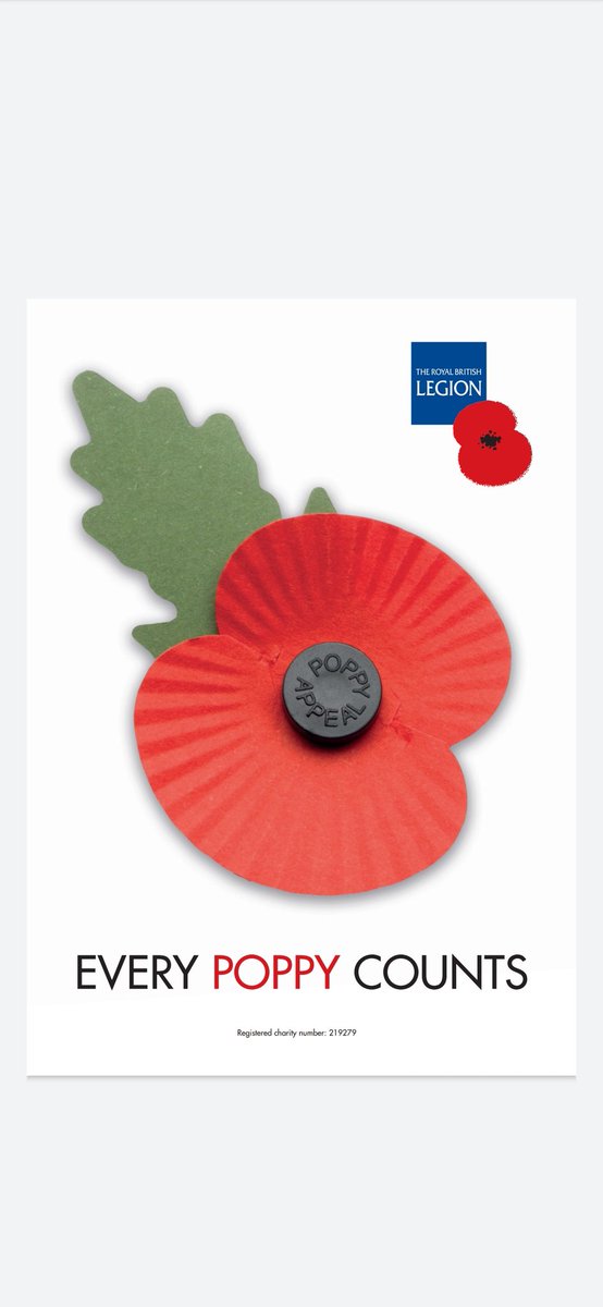 290ATC's tweet image. Remembrance parade Weston-super-Mare last year. Extremely proud to be the Officer Commanding of an amazing group of staff and young men and women.