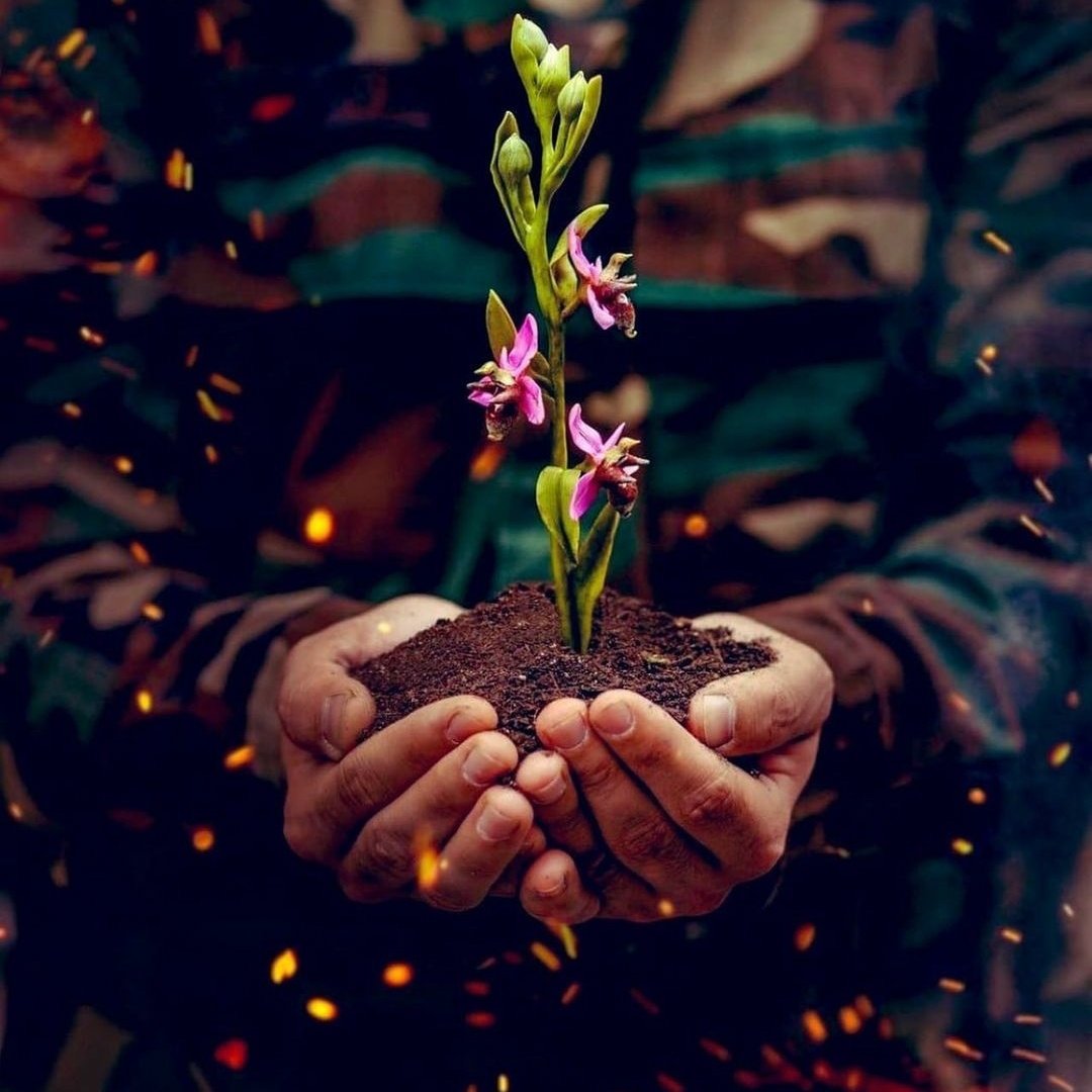 Qayıdışın mübarək, Şuşa!🇦🇿
#KarabakhisAzerbaijan 
#Şuşa