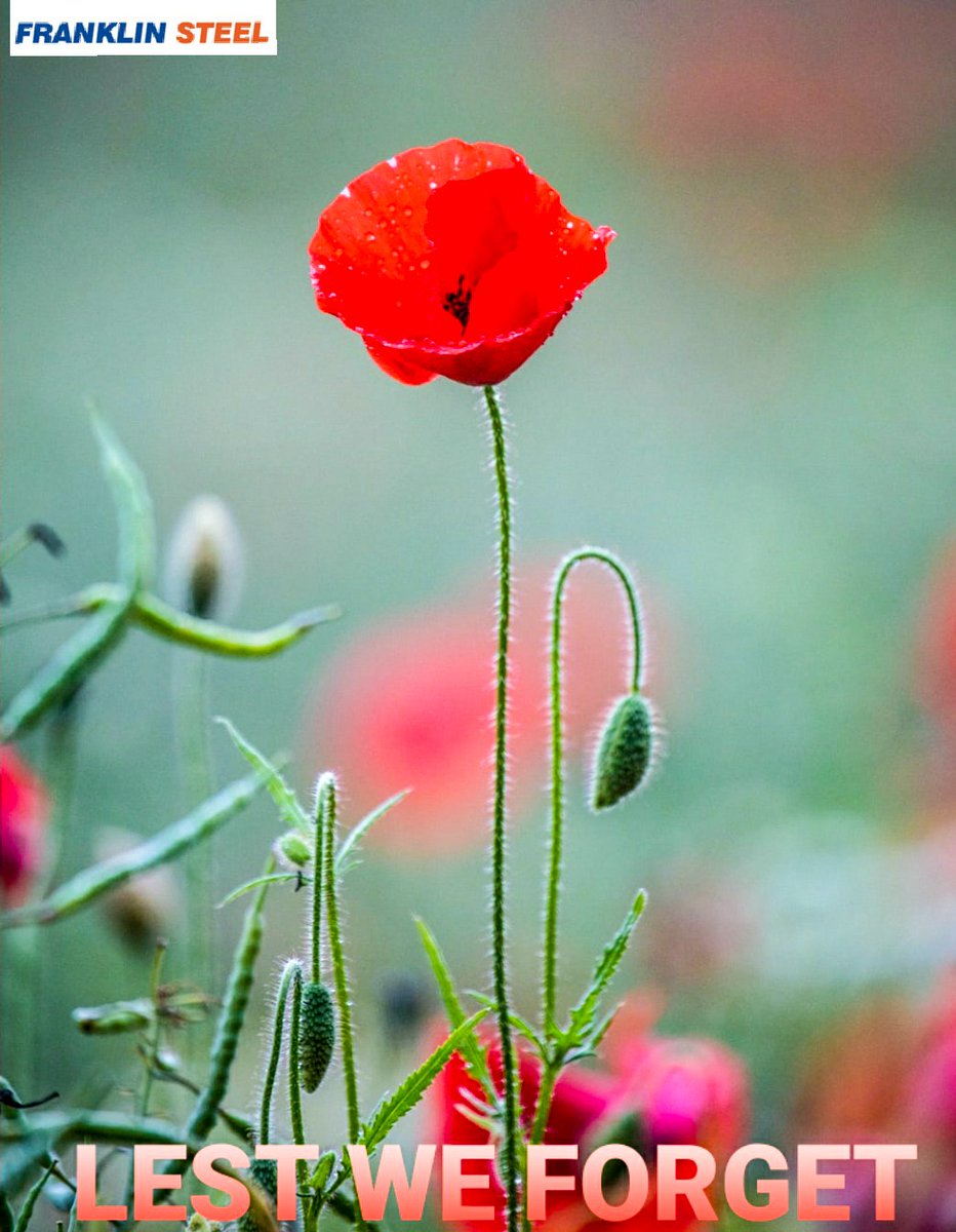 Always remember....

#remembranceday #lestweforget