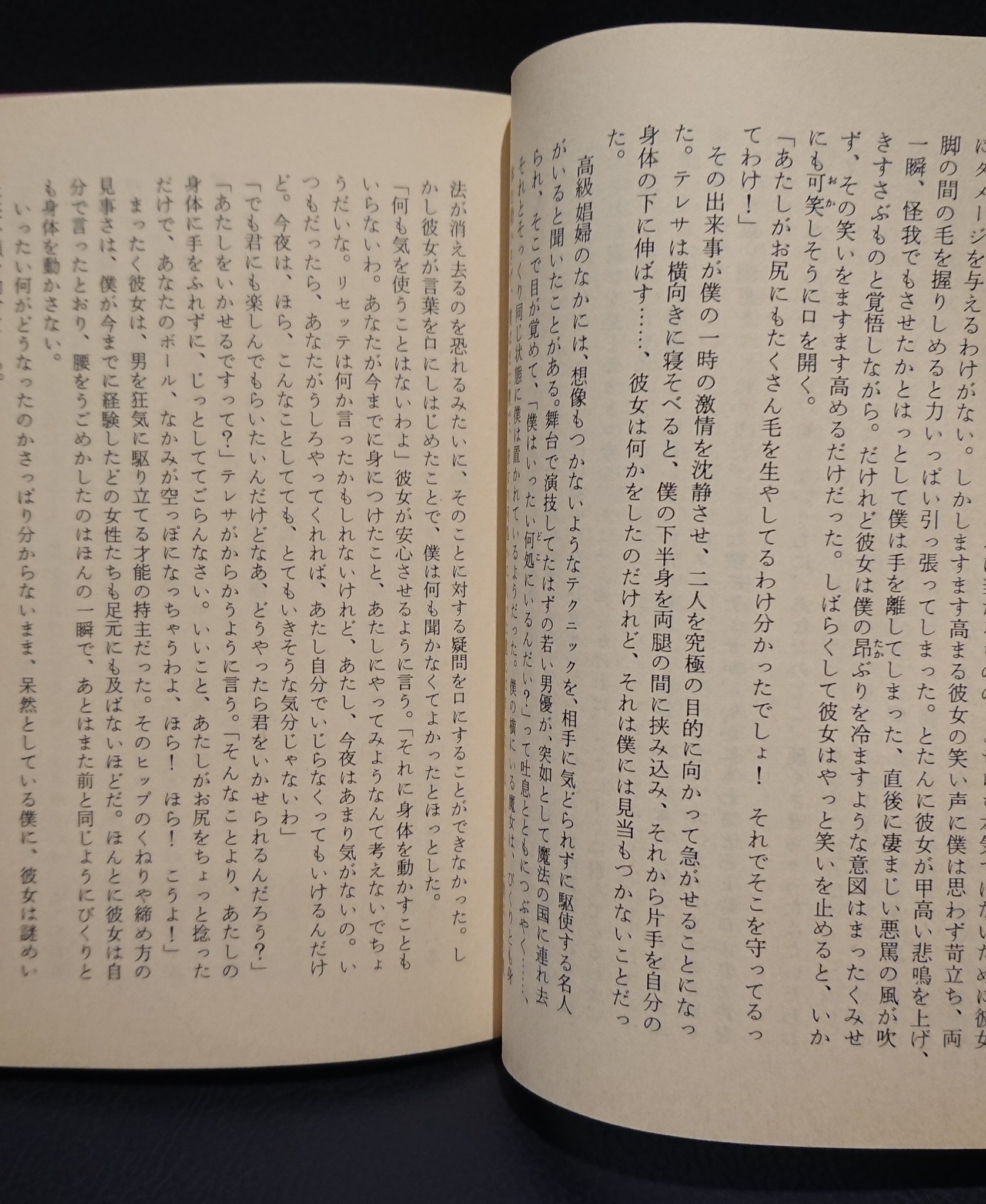 書肆ゲンシシャ 幻視者の集い ピエール ルイス 母娘特訓 隣に引っ越してきた娼婦と三人の娘が学生とひたすら交わる小説です 娘は処女を保つため肛門性交を繰り返します 母は娘を母乳ではなく愛液で育てたと言い放ち 姉は娼婦学専攻で学位を得た家庭 書肆ゲンシシャ 幻視者の集い ピエール ルイス 母娘特訓 隣に引っ越してきた娼婦と三人の娘が学生とひたすら交わる小説です 娘は処女を保つため肛門性交を繰り返します 母は娘を母乳ではなく愛液で育てたと言い放ち 姉は娼婦学専攻で学位を得た家庭
