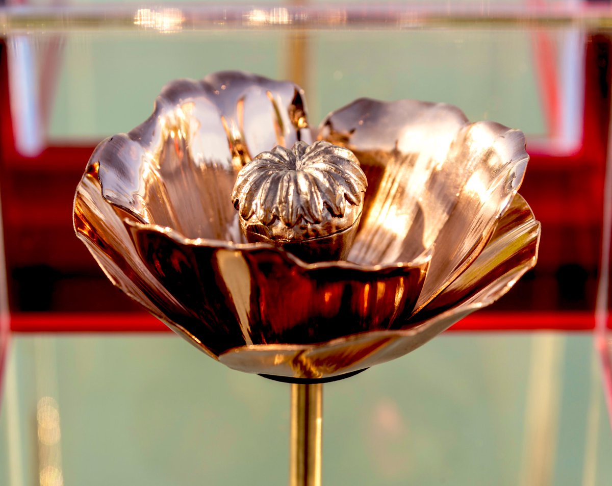 RAFRedArrows_OC's tweet image. When you go home, tell them of us and say - for your tomorrow, we gave our today.