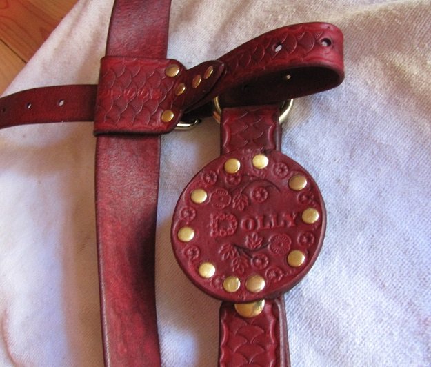 Wanted to say a big thank you to @shypig3 for making me a gorgeous butt plug belt for Dolly. I love all<a class="tags" target="_blank" title="On Twitter" href="/?out=eyJ0eXAiOiJKV1QiLCJhbGciOiJIUzUxMiJ9.eyJpYXQiOjE3MjQ3MTU4MDMsImlzcyI6InR3cG9ybnN0YXJzLmNvbSIsIm5iZiI6MTcyNDcxNTgwMywiZXhwIjoxNzU2MjUxODAzLCJyZWRpcmVjdF91cmwiOiJodHRwczovL3R3aXR0ZXIuY29tL3NoeXBpZzMifQ.mkkxlMd7LTM3GSAb7COIvWcavZQJUoDTIhu66Lsij95t5GHdDQIY151b0aOLwCK_zTefBXgY_jBod9n5DSqOjQ">@shypig3</a><a href="/tag/leather"class="tags"><span>#leather</span></a><a href="/tag/mistress"class="tags"><span>#mistress</span></a><a href="/tag/anal"class="tags"><span>#anal</span></a><a href="/tag/sissytraning"class="tags"><span>#sissytraning</span></a>