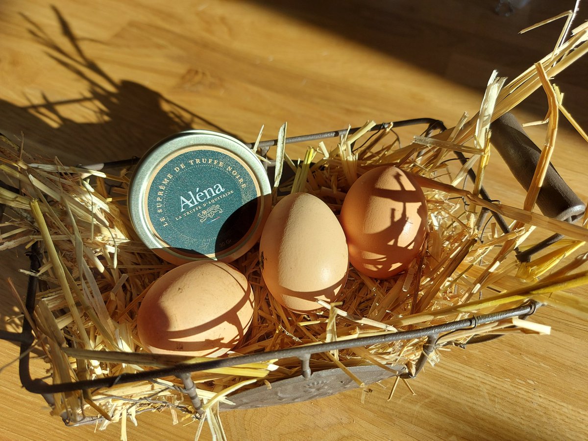 truffeextra's tweet photo. Que faire avec des oeufs ? https://t.co/nKM2bpQfoW