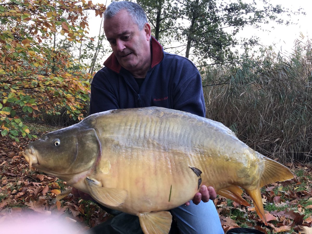 The first catch of the day!💪🏻🎣 #carp #mirrorcarp #carpfishing #fishing