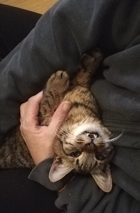 けいれんのTwitterイラスト検索結果(古い順)。